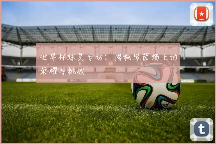 世界杯球员专访：揭秘绿茵场上的荣耀与挑战